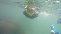 Snorkelling
