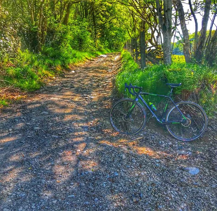 Sunny Trails