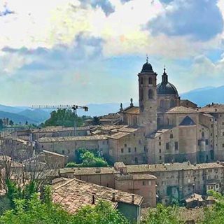 Urbino