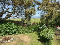 Bottom of the Garden