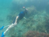 Diving