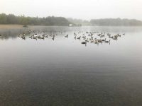 Early morning at the lake