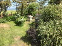 Empty Apiary