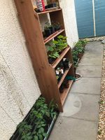 Lean-to Greenhouse