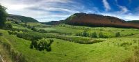 Summer Scenery in Wales