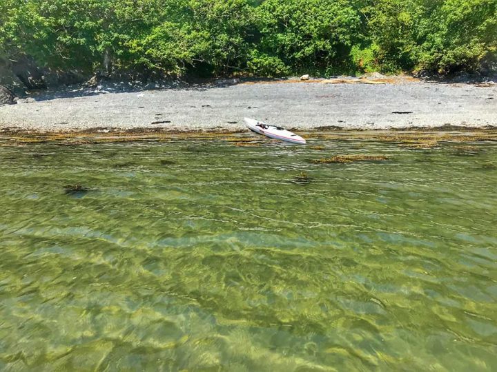 Clear Waters