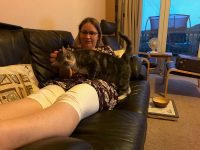 Head Scratch for a Friendly Cat