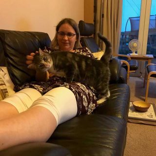 Head Scratch for a Friendly Cat