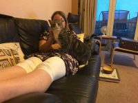 Luna on the Sofa