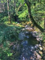 Trickling Streams