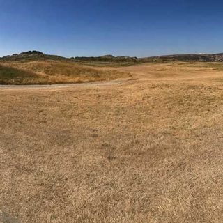 Ynyslas Savannah