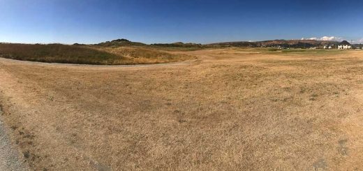 Ynyslas Savannah
