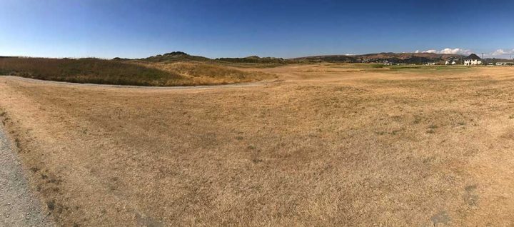 Ynyslas Savannah