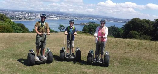 Family Segway Tour