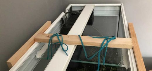 Wooden Brace