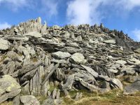 Bristly Ridge