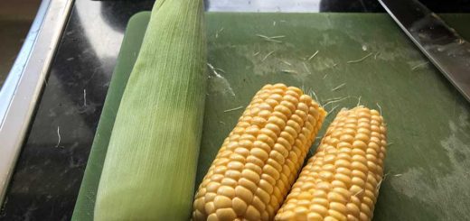 Corn on the cob