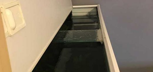 Fixed Fish Tank