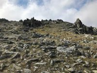 Jagged Peaks