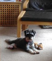 Millie