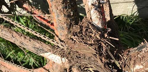 Mud Encrusted Bike