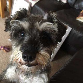 Saying Hello