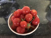 Tomatoes