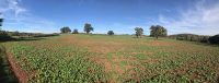 Monmouthshire Countryside