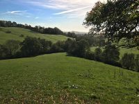 Rolling Hills