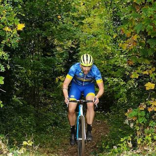 Through the trees