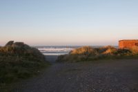 Down to the Beach