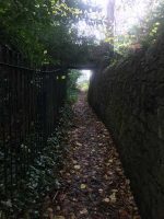 Lanes in Woodcroft
