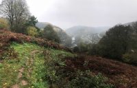 Looking back to Redbrook