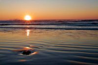 Sunburst