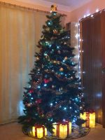 Xmas Tree