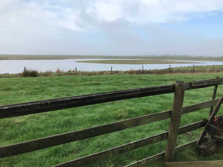 Goldcliff Lagoons