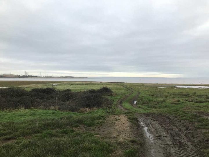 Looking back across the Mouth of the Usk