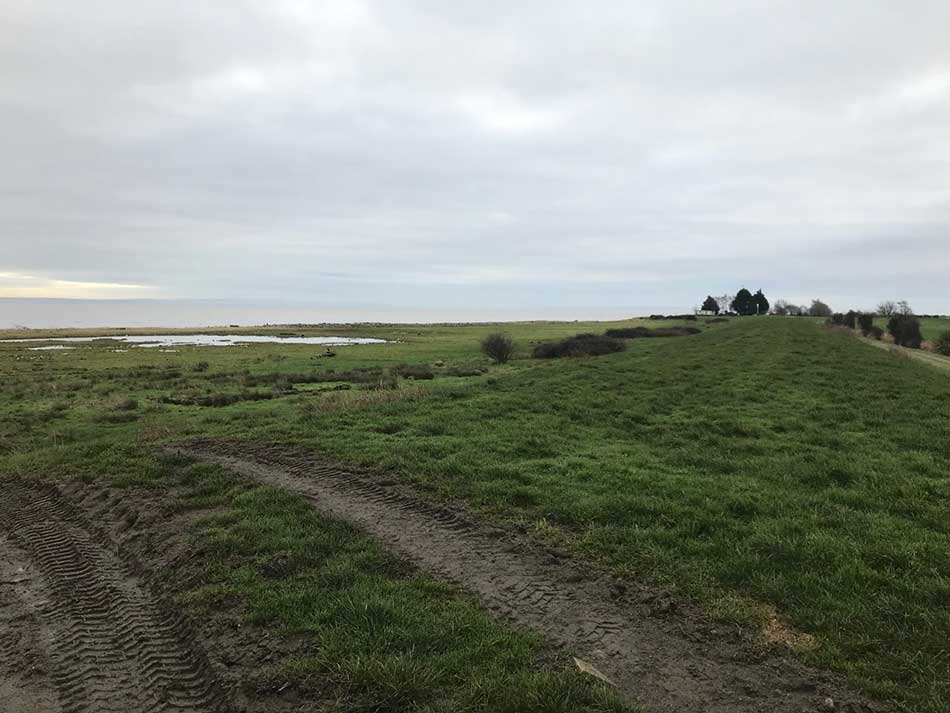 Back onto the banks of the Severn Estuary
