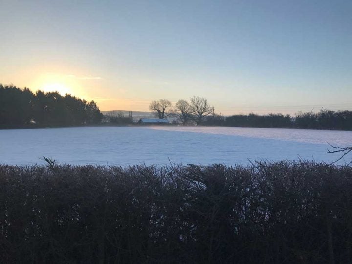 Snow Covered Fields