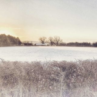 Snowy Landscape