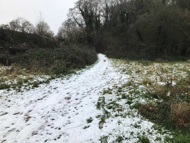 Snowy Trails