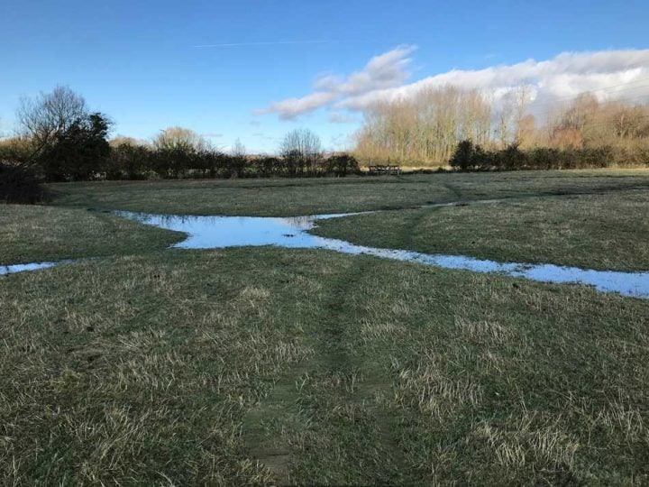 Soggy Fields