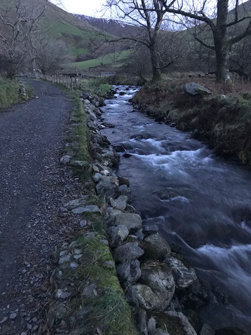 Babbling Stream
