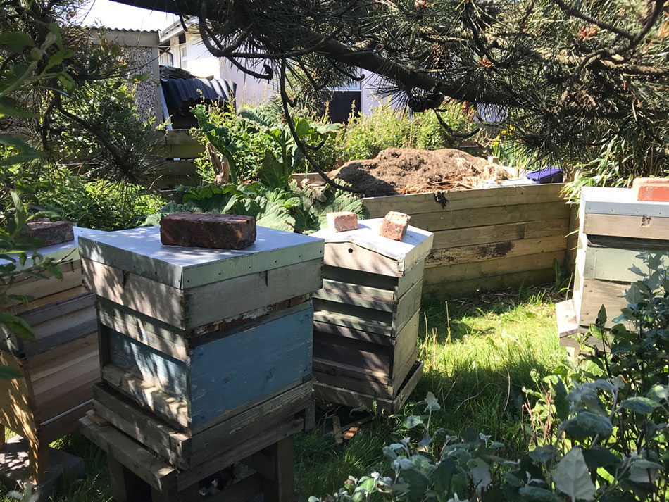 Apiary