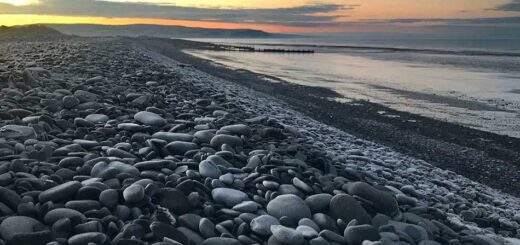 Frosty Pebbles