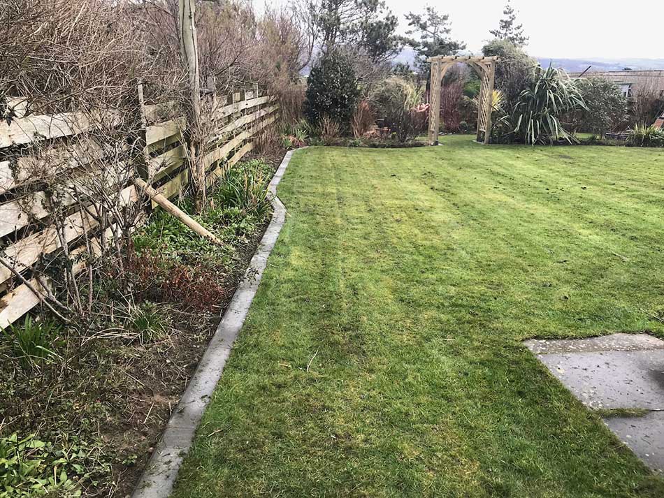 Mowed Lawn
