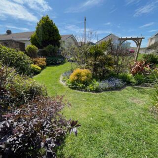 Our Garden
