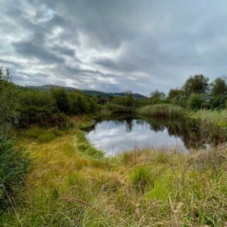 Dyfi Osprey Project