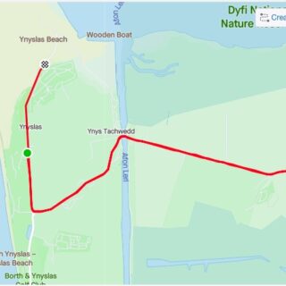 10km Run