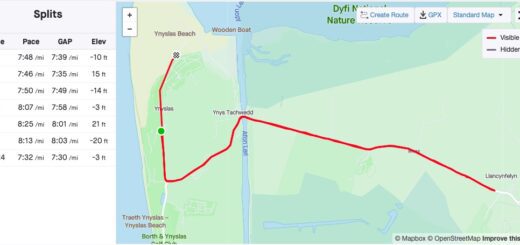 10km Run